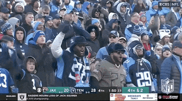 National Football League GIF by NFL