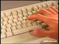giphy.gif