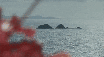PapaSalt dance music party summer GIF