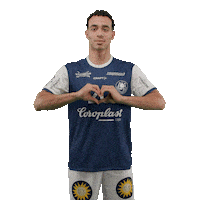 Handball Sticker by DAIKIN HBL