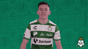 clubsantos  GIF