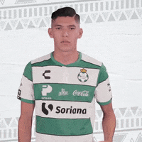 clubsantos  GIF
