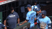 Blue Jays Baseball GIF by Toronto Blue Jays