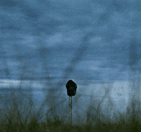 Hat Rip GIF