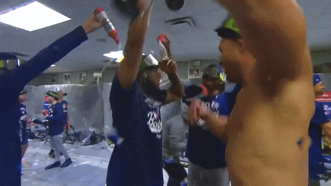 Blue Jays Dancing GIF by Toronto Blue Jays
