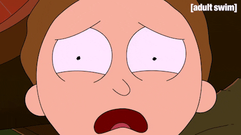 Season 3 Episode 301 GIF by Rick and Morty