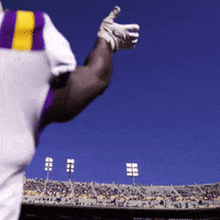 Bye Bye Win GIF by LSU Tigers