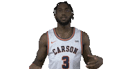 Cnmb Sticker by Carson-Newman Athletics