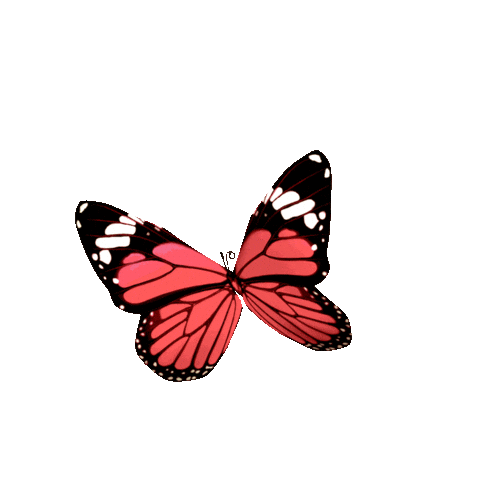 Monarch Butterfly Pink Sticker by Demi Lovato