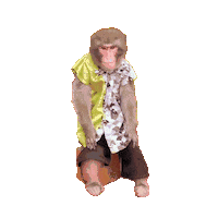 Fun Monkey Sticker