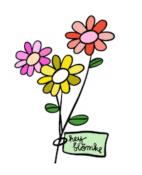 Flower Mestreech Sticker by Visit Maastricht