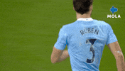 Premier League Football GIF by MolaTV