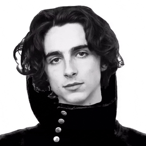 Timothee Chalamet Rebel GIF by Respective