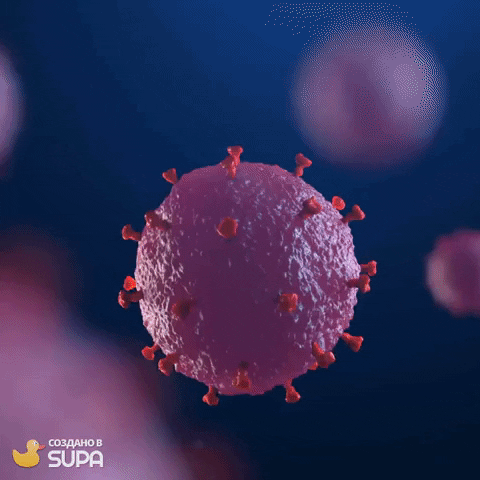 VAKS077 giphygifmaker GIF