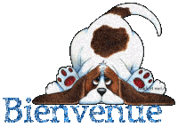 12 STICKER