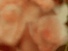 Super 8 Vintage GIF by Tomorrow Television