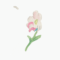 chikuuuworld art kawaii nature flower GIF
