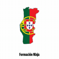 Flag Portugal GIF by Formación Ninja