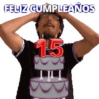 Quinceanera Quince Años Sticker