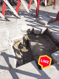 Austria No GIF by Linz News