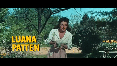 PercyHelton giphygifmaker GIF