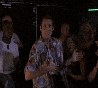 GIF by Giphy QA