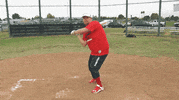 baseball GIF by History UK