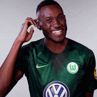 think france GIF by VfL Wolfsburg