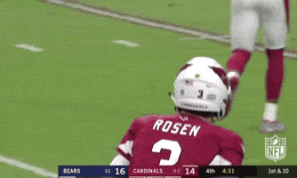 2018 Nfl Football GIF by NFL