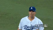 hill GIF by MLB
