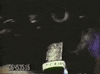 GIF by Alex Bedder