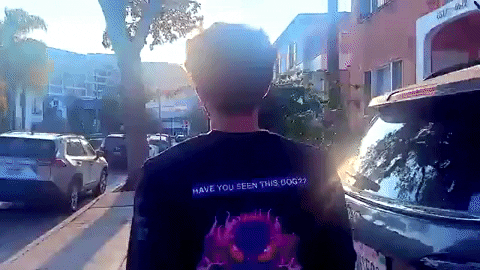 GIF by Magdalena Bay