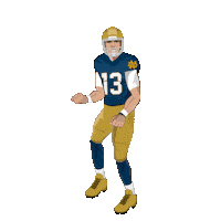 College Football Fighting Sticker by SportsManias