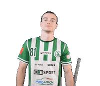 Floorball Fbsbohemians Sticker by Český florbal