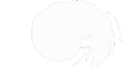 Animation Wipe Sticker by youmotion.com