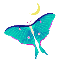 New Moon Hearts Sticker by Guided by Light Art