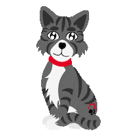 Cat Kitten Sticker by Red Roof