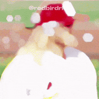 Taylor Motter Cardinals GIF
