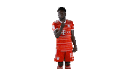 Football Love Sticker by FC Bayern Munich