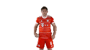 Leon Goretzka Yes Sticker by FC Bayern Munich