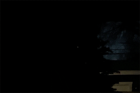 nickbergus giphyupload GIF