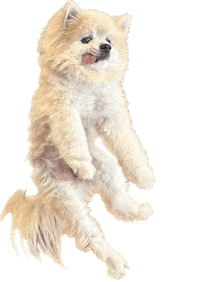 Dog Dancing Sticker by Munjo Munjo