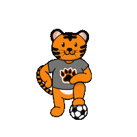 College Sports Soccer Sticker by Rochester Institute of Technology
