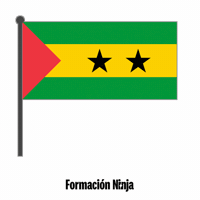 Flag Bandera GIF by Formación Ninja
