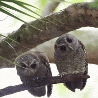 What Is Going On GIF
