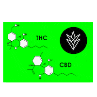 Cannabis Cbd Sticker by Cosechalibre