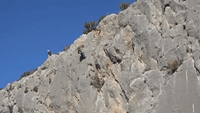 Climber Narrowly Avoids Major Rockfall