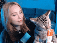 Cat Streamer GIF