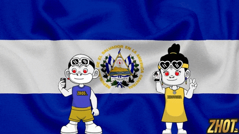 El Salvador Flag GIF by Zhotcita