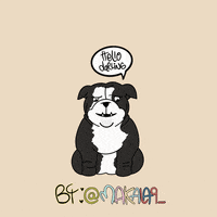 English Bulldog Dog GIF by makala9_